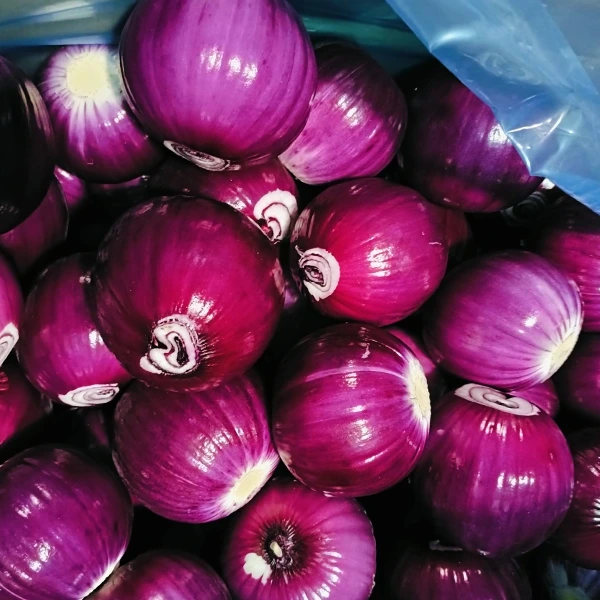 Huaang Food Processing vinner markedsandeler med stabil kvalitet