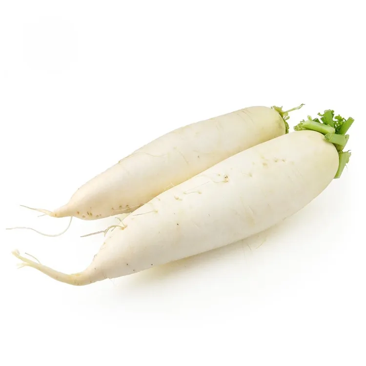 Crunchy hvit reddik