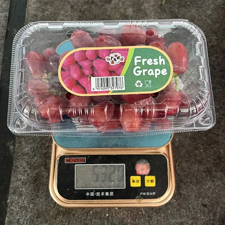 Eksporter Fresh Crimson Seedless Druer