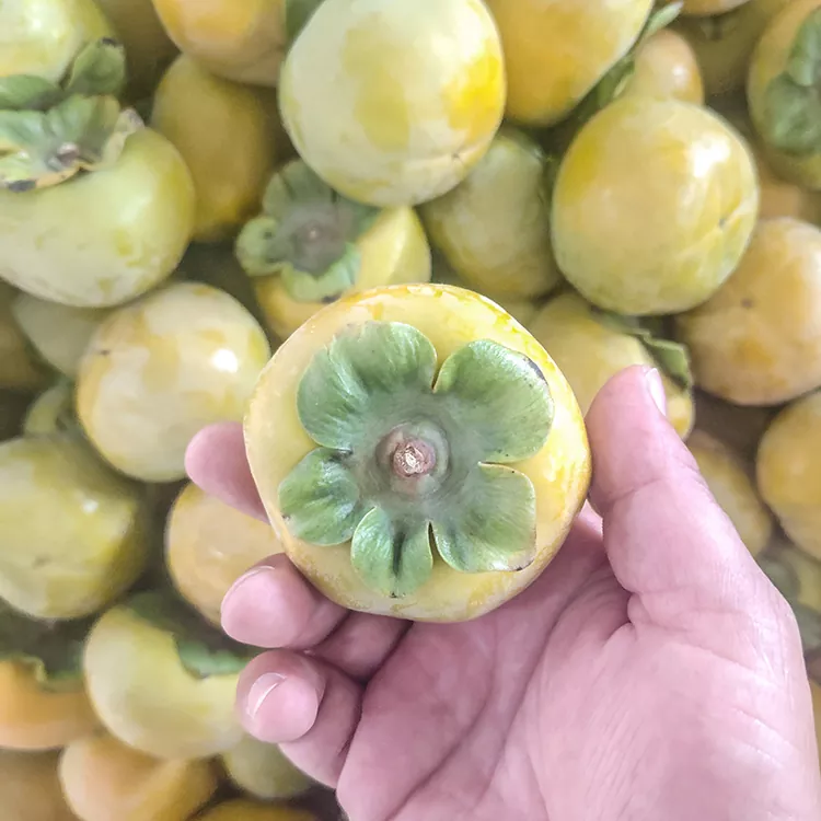 Førsteklasses fersk persimmon