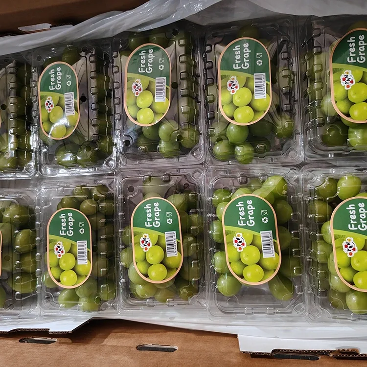 Utvalgte Fresh Shine Muscat druer